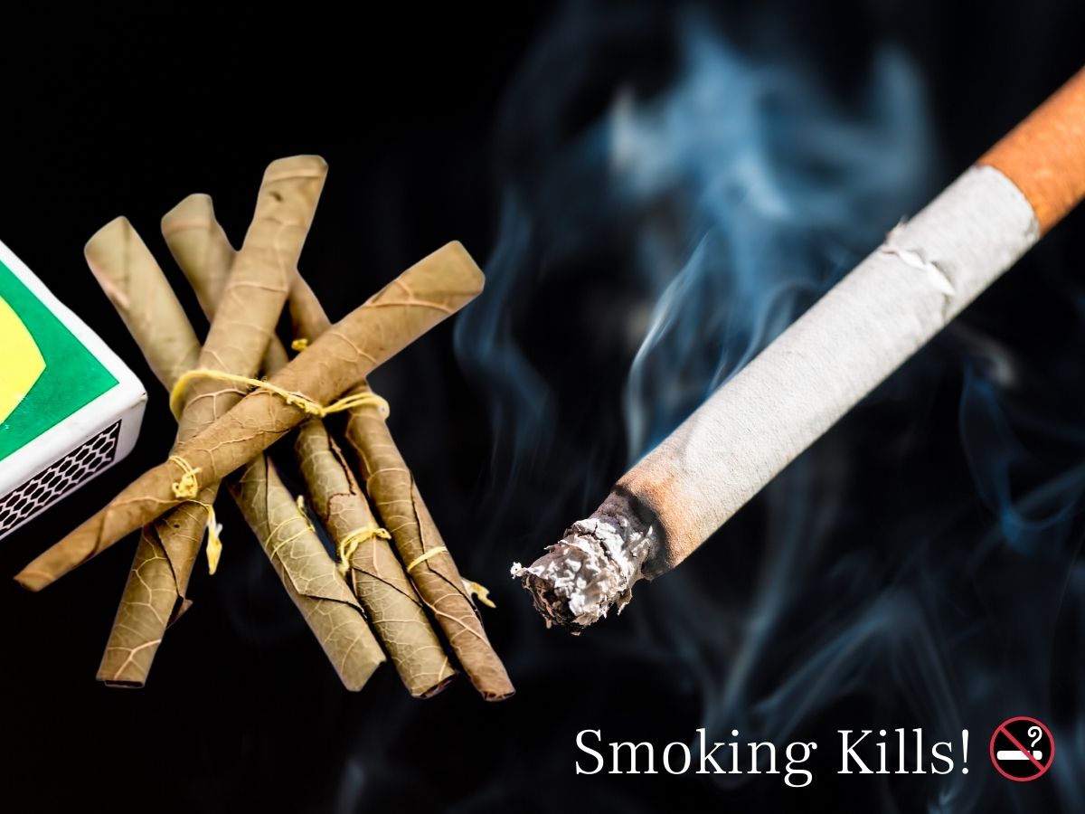 Bidi Vs Cigarette: बीड़ी पीना ज्यादा खतरनाक या सिगरेट? डॉक्टर ने बताई ऐसी  बात, जानकर उड़ जाएंगे होश