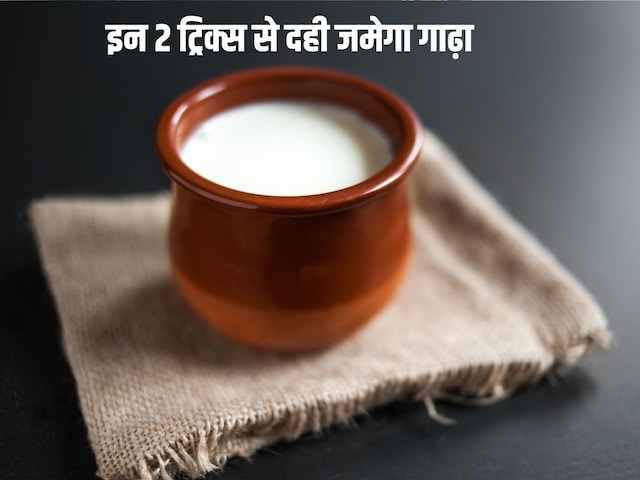 घर पर दही नहीं जमता परफेक्ट, ये 2 आसान तरीके आजमाएं, लोग आपसे पूछेंगे गाढ़ा और थक्केदार Curd जमाने का सीक्रेट घर पर दही नहीं जमता परफेक्ट, ये 2 आसान तरीके आजमाएं, लोग आपसे पूछेंगे गाढ़ा और थक्केदार Curd जमाने का सीक्रेट