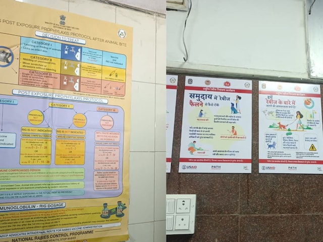 भोपाल की गलियों में आवारा कुत्तों का आतंक, हर रोज 50 शिकार भोपाल की गलियों में आवारा कुत्तों का आतंक, हर रोज 50 शिकार