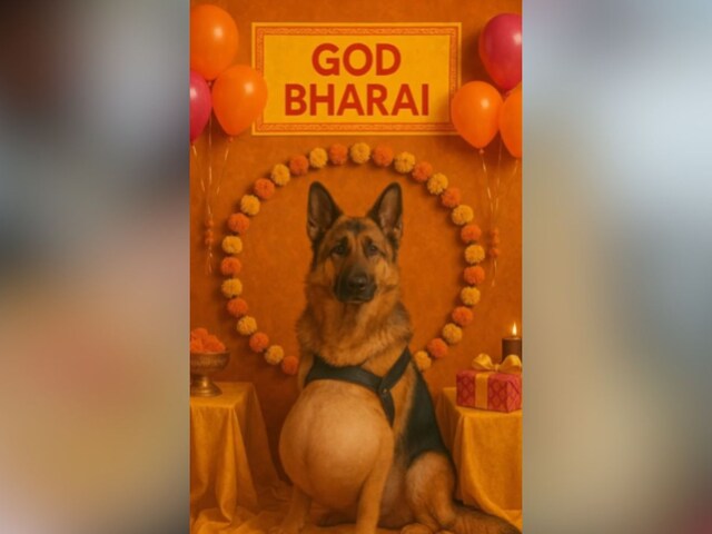dog-baby-shower-2025-04-4f55351632c31506041340c299dc63f3 Dog beans, people sent omen online, now the child alone is raising a child!