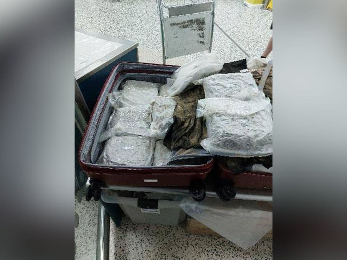 drugs-found-in-bag-2025-04-776f1bd8ad79ea7fd7feaaf64722b9bb Friends went abroad for shopping, when she returned, the investigation of goods at the airport, the briefcase was arrested as soon as she opened!