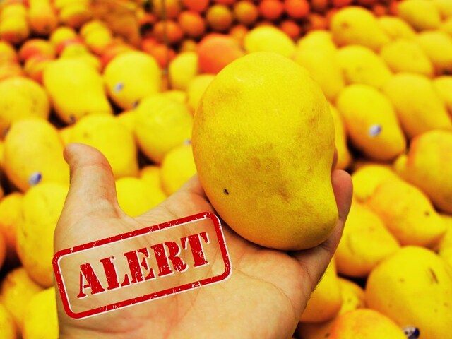 Are you not eating soldiers made of chemical in the name of 'King of Fruit'?