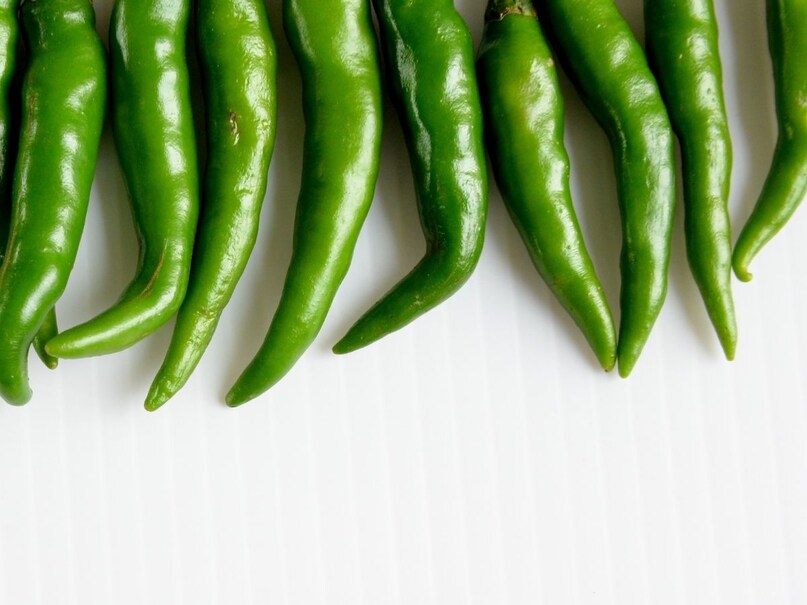 chilli crops, threat of pests on chilli crops, chilli crops pests, chilli pests, tips and trciks, farming tips, chilli farming, Root rot in chilli , chilli farming tips , chilli prevention tips from root rot, जड़ सड़न रोग के उपाय , मिर्च जड़ सड़न रोग टिप्स , एग्रीकल्चर न्यूज chilli crops, threat of pests on chilli crops, chilli crops pests, chilli pests, tips and trciks, farming tips, chilli farming, Root rot in chilli , chilli farming tips , chilli prevention tips from root rot, जड़ सड़न रोग के उपाय , मिर्च जड़ सड़न रोग टिप्स , एग्रीकल्चर न्यूज