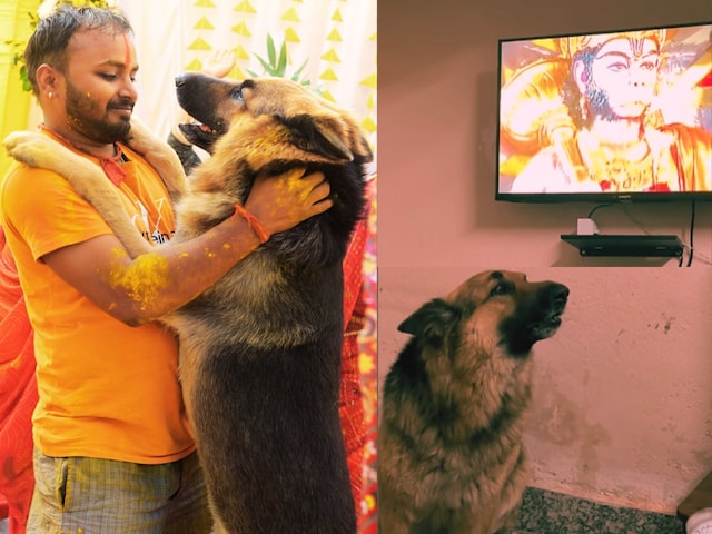 'Not German, Sanatani Shepard Ka Saab', this dog is an exclusive devotee of Hanumanji 'Not German, Sanatani Shepard Ka Saab', this dog is an exclusive devotee of Hanumanji