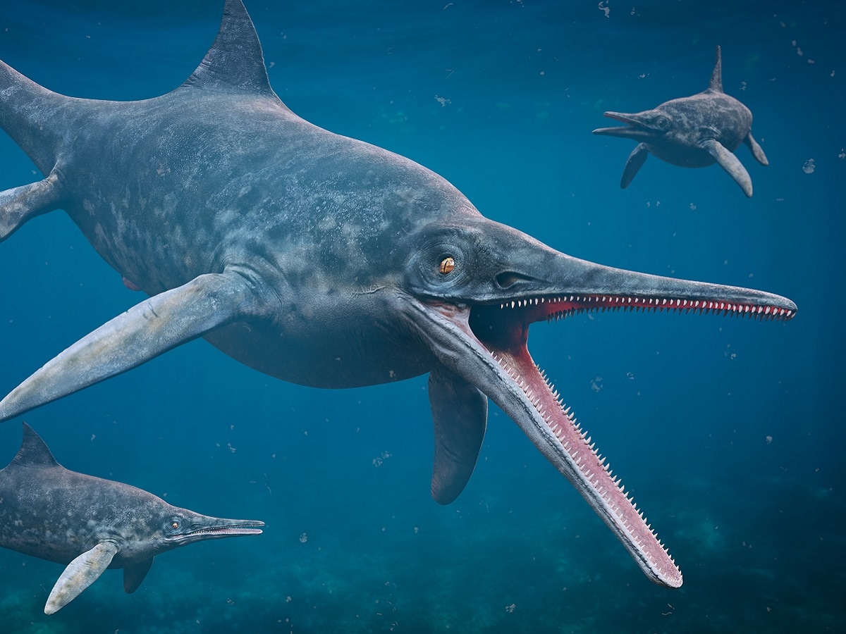 ichthyosaurs-001-1200-900-shutterstock-2025-04-89f0b69052d92b4590b61060c6de78b1 Scientists got the skeleton of 13 million years old pregnant Ichathyosor.