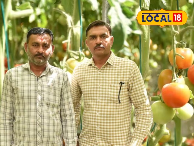 टमाटर की खेती से बंपर कमाई चाहिए?  ये टेकनिक अपनाओ और करो 10 लाख की कमाई