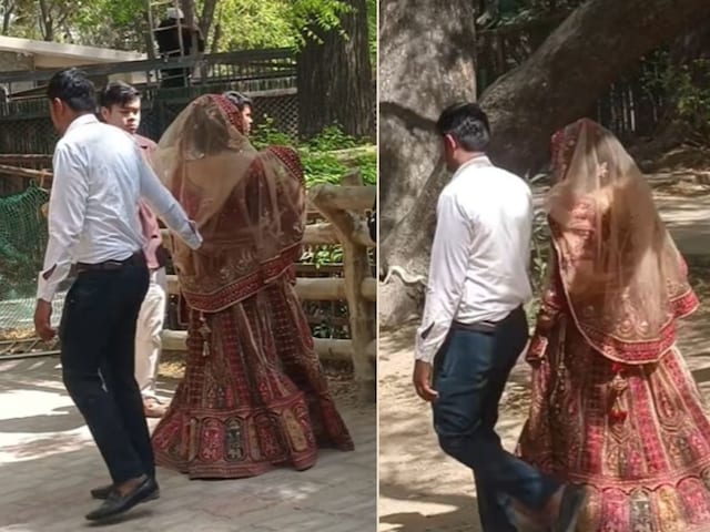 lehnga-in-zoo-video-2025-04-e4b72e424661f22a4b56a6a9af43cc37 'Looks like it has run away from the pavilion!' Zoo came to roam wearing a lehenga, people went to the eyes of more women than animals!