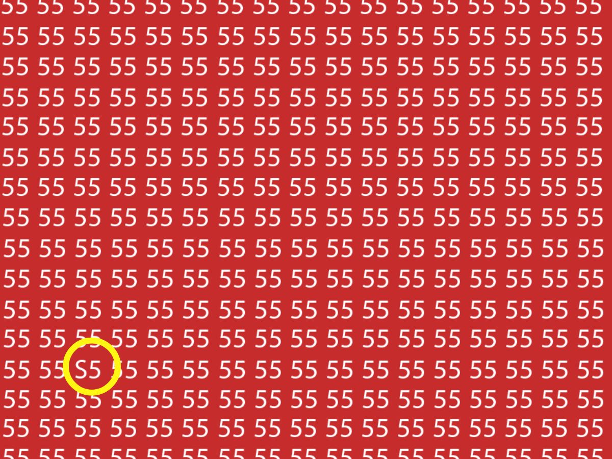 optical-illusion-2-33-2025-04-ba159d42e9a8b794a9fd6301bf5dda8f Where is 55 written wrong? The challenge is 8 seconds, big people could not complete, you will do TRAI?
