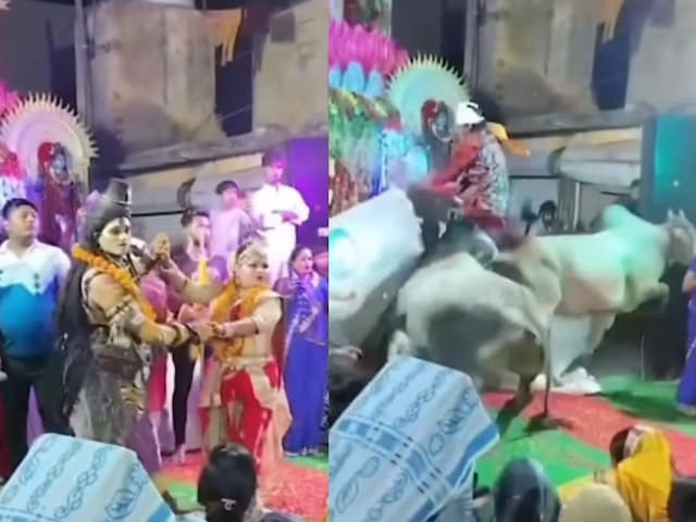 ox-attack-2025-04-8952810b6bea49e4bb40742c540bce23 Shiva-Parvati was giving darshan to the devotees, then 'Nandi' attacked, God ran away after saving his life!