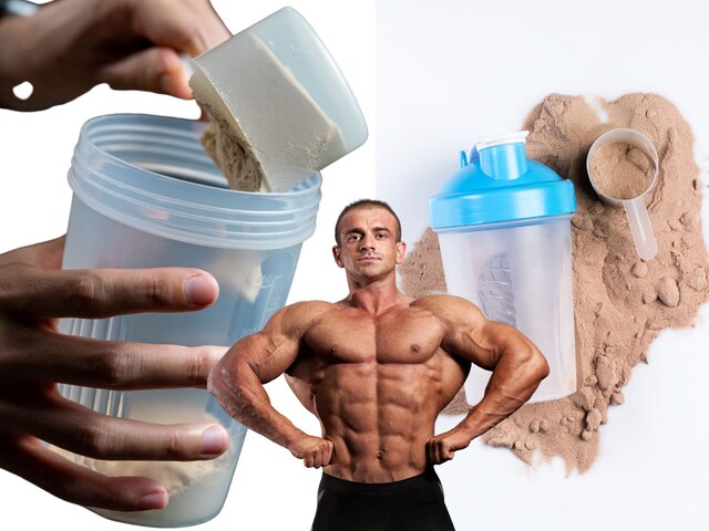 Hi! Jim Freak, WHE Protein or Plant Based Protein, know who is better