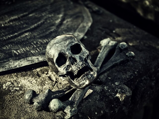 skull-pic-2025-04-e026be20d510962d35f06f95787479e1 The woman used to sell 'bone-passe' on Facebook, was earning good money too, when the police caught it and gave such an answer!