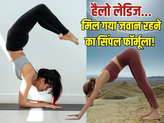 40 की उम्र के बाद महिलाएं करें ये 2 योगासान, इससे उम्र तो बढ़ेगी बुढ़ापा नहीं! 40 की उम्र के बाद महिलाएं करें ये 2 योगासान, इससे उम्र तो बढ़ेगी बुढ़ापा नहीं!