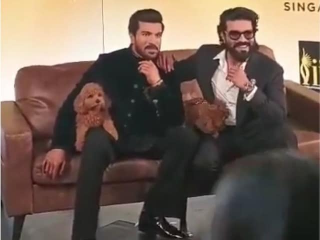 Curtain removed from Ram Charan's wax statue, superstar poses with pet dogs Curtain removed from Ram Charan's wax statue, superstar poses with pet dogs