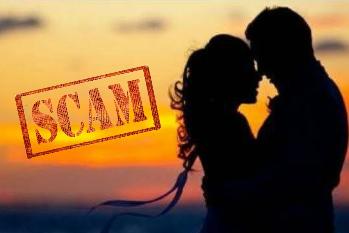 अकेले इंजीनियर को चाहिए था रात का साथी वेबस्टाइट से बुक करते हीलुट गए