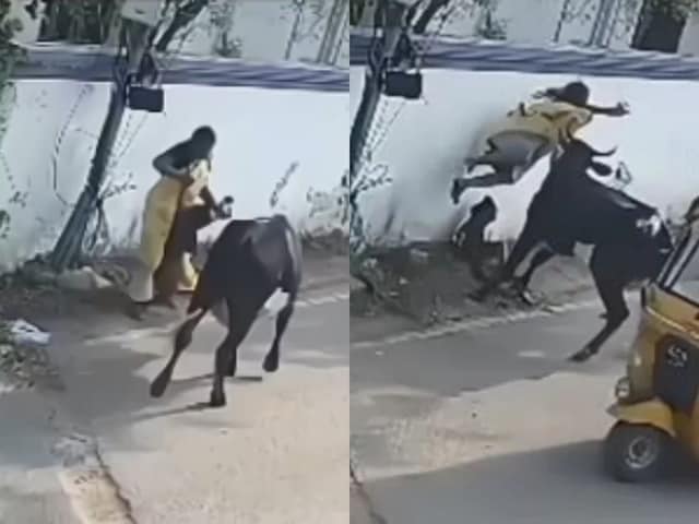 बच्चे को मारने दौड़ा सांड, तभी बीच में बचाने के लिए सामने आ गई मां, फिर... बच्चे को मारने दौड़ा सांड, तभी बीच में बचाने के लिए सामने आ गई मां, फिर...