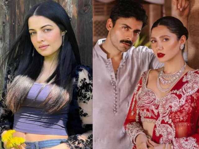 Celina Jaitley, Fawad-Mahira surrounded the silence of Pakistani celebs