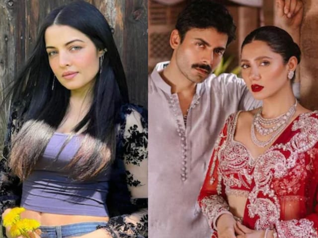 Celina Jaitley, Fawad-Mahira surrounded the silence of Pakistani celebs Celina Jaitley, Fawad-Mahira surrounded the silence of Pakistani celebs