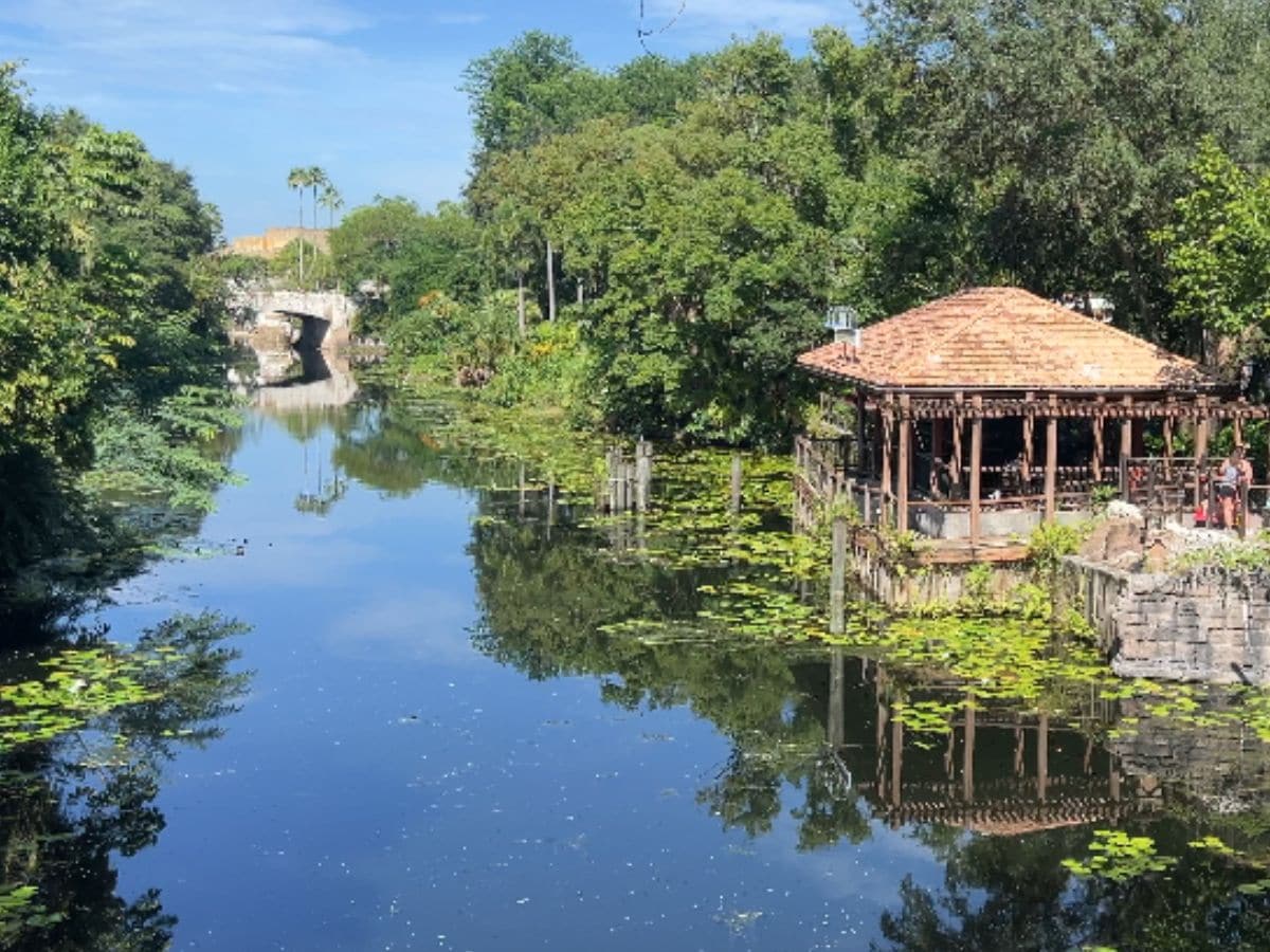 Disney World, डिज्नी वर्ल्ड, Disney attractions, डिज्नी आकर्षण, Disney changes, डिज्नी बदलाव, Discovery River Boats, डिस्कवरी रिवर बोट्स,
