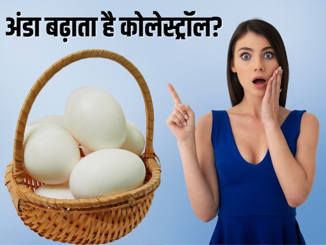 क्या अंडा खाने से बढ़ सकता है कोलेस्ट्रॉल? एग लवर्स जरूर जानें हकीकत, वरना सेहत हो जाएगी बर्बाद ! क्या अंडा खाने से बढ़ सकता है कोलेस्ट्रॉल? एग लवर्स जरूर जानें हकीकत, वरना सेहत हो जाएगी बर्बाद !