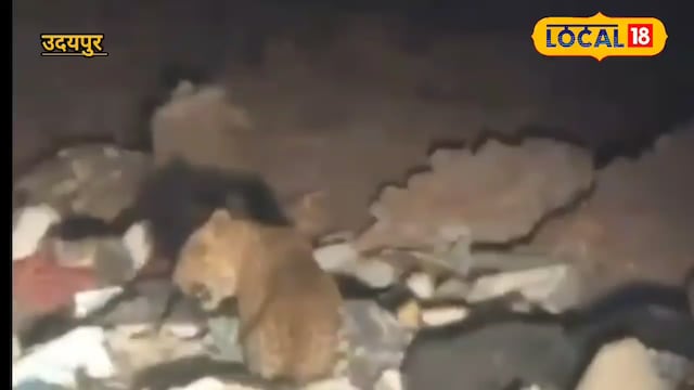 तेंदुआ