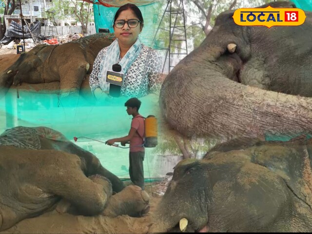 हैथिनी
