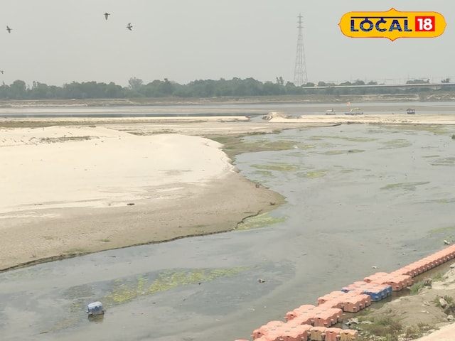 Saryu Saryu