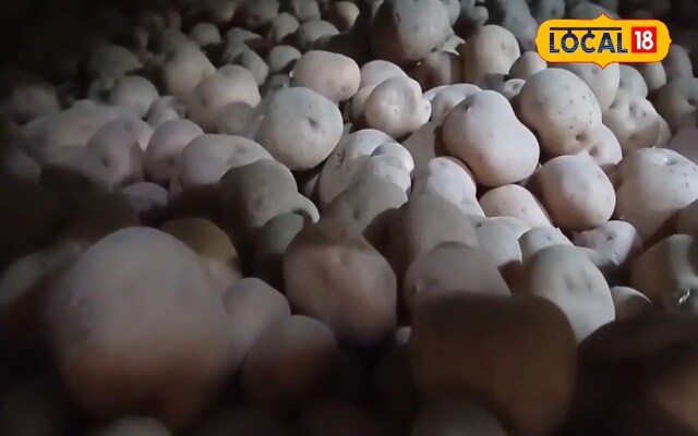 बड़े बड़े