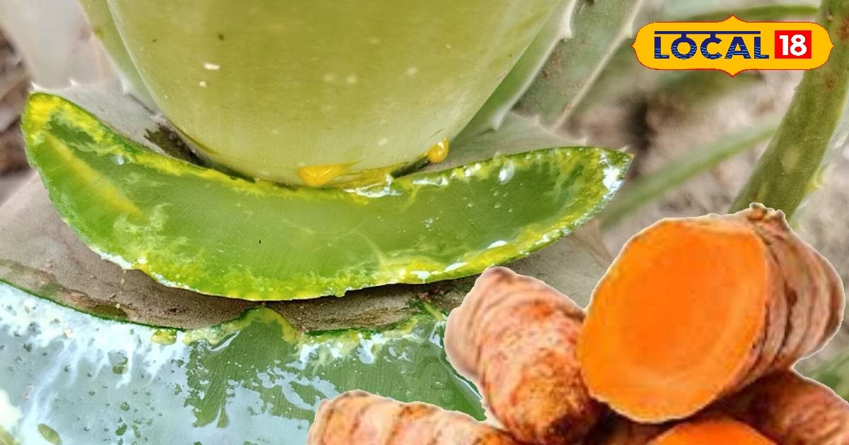 घर में रखा ये मसाला, मुंहासों का कर देगा सफाया, घर पर चुटकियों में करें तैयार, फूल जैसा खिल उठेगा चेहरा घर में रखा ये मसाला, मुंहासों का कर देगा सफाया, घर पर चुटकियों में करें तैयार, फूल जैसा खिल उठेगा चेहरा