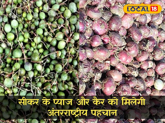 सिकर के प्याज और कैर को जीआई टैग मिलेगा सिकर के प्याज और कैर को जीआई टैग मिलेगा