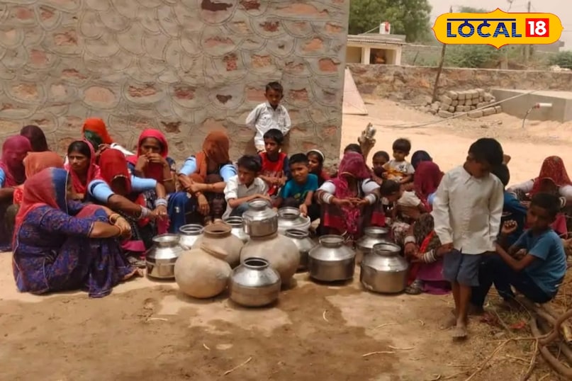 प्यास से पीड़ित मवेशी, मवेशियों के पीछे परेशान ... एक साल के लिए नल सूखा है, नर्मदा परियोजना की आपूर्ति रुक ​​गई