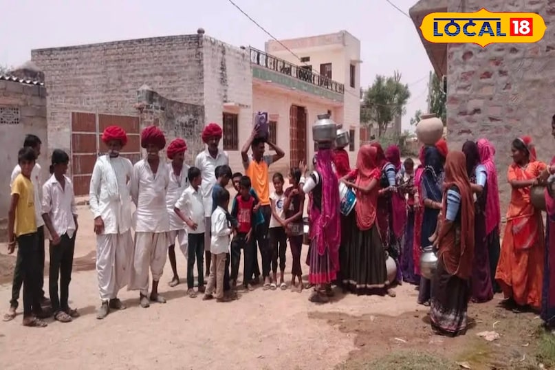 प्यास से पीड़ित मवेशी, मवेशियों के पीछे परेशान ... एक साल के लिए नल सूखा है, नर्मदा परियोजना की आपूर्ति रुक ​​गई