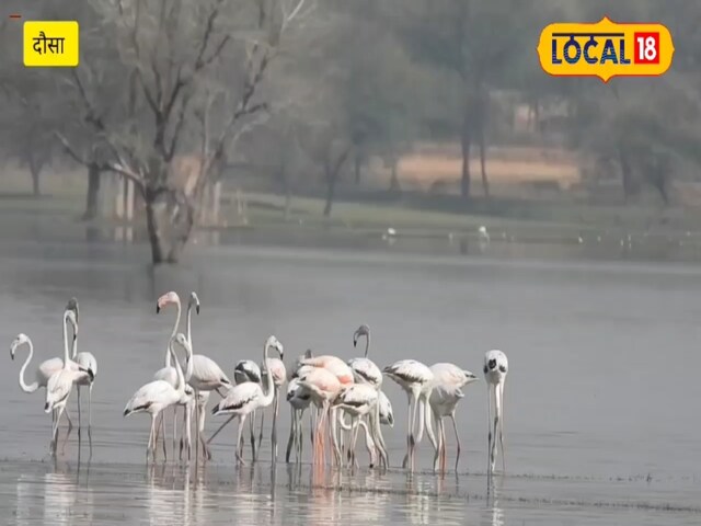 एक प्रकार की खाने की गुच्छी