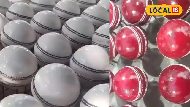 Cricket