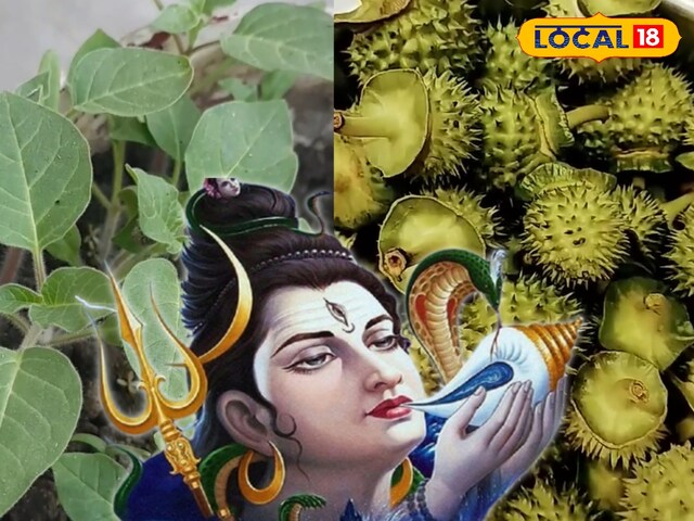 धार्मिक