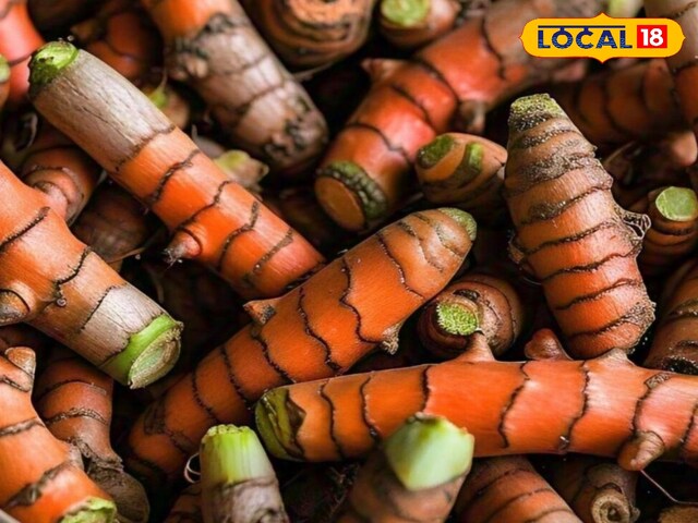 आर्गेनिक आर्गेनिक