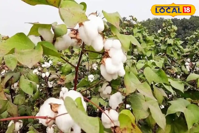 कृषि युक्तियाँ कृषि युक्तियाँ