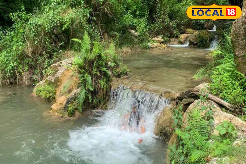 himshring waterfall rishikesh himshring waterfall rishikesh