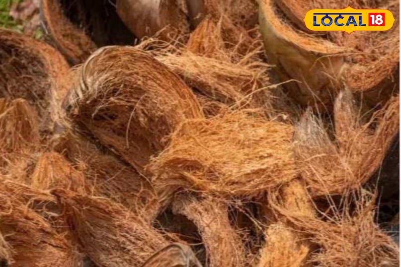 नारियल का छिलका नारियल का छिलका