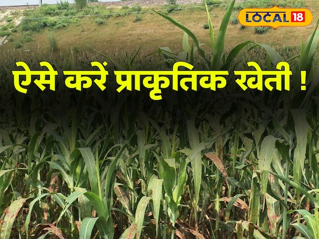 प्राकृतिक प्राकृतिक