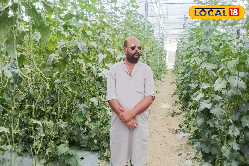 खास खेती किसानों को फायदा खेती किसानी हो रहा मुनाफा कुछ माह में होती है तैयार अच्छी फसल अमेठी उत्तर प्रदेश न्यूज़ 18 हिंदी Special farming benefits farmers, farming is making profit, good crop is ready in a few months, Amethi, Uttar Pradesh News 18 Hindi