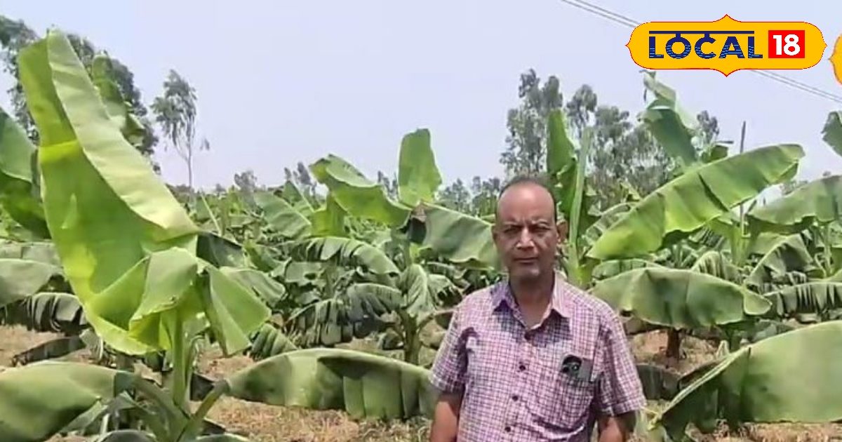 अमेठी के इन किसानों ने बदली खेती की धारा, सुर्खियों ने इनके अनूठे आइडिया