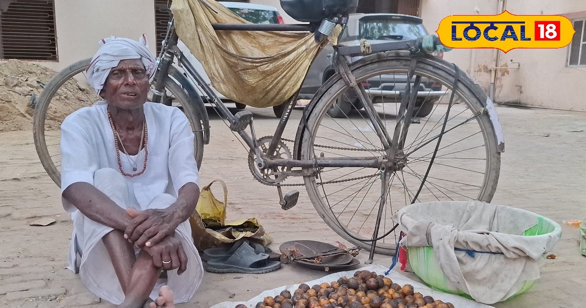 बुढ़ापे की लाठी बना ये जंगली फल, बुजुर्ग बेचकर परिवार का कर रहा पालन पोषण