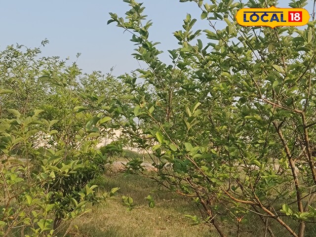 सेवानिवृत्त