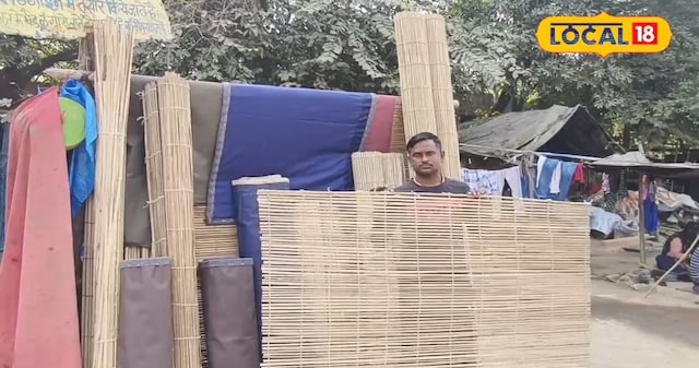 बांस बांस