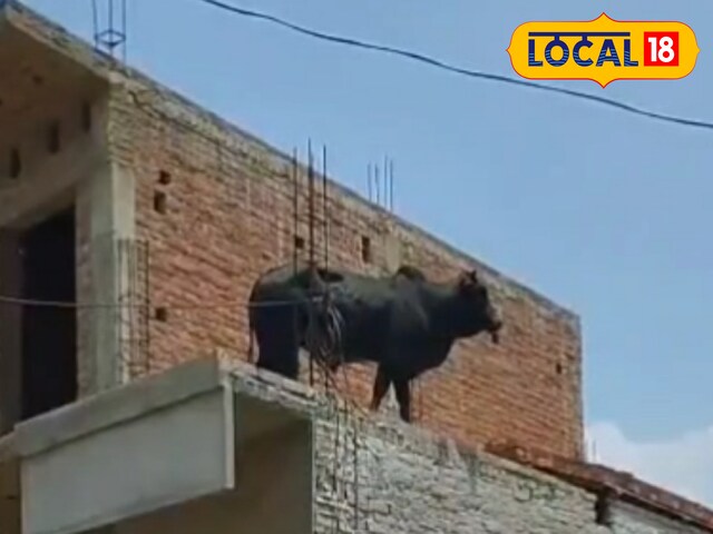 पीलीभीत