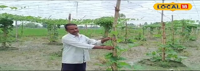 प्राकृतिक