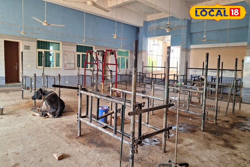 cow hospital in mirzapur