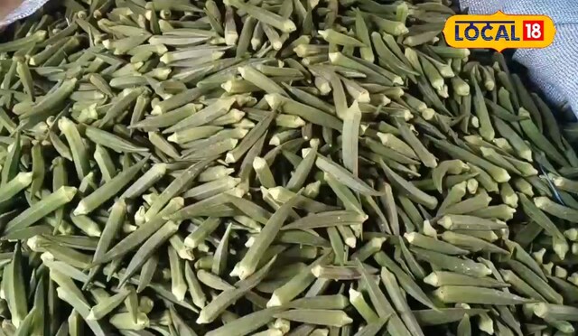 हरियाणा से मंगाया बीज, यूट्यूब से सीखी खेती, तीन गुना पैसे पीट रहा बागपत का किसान