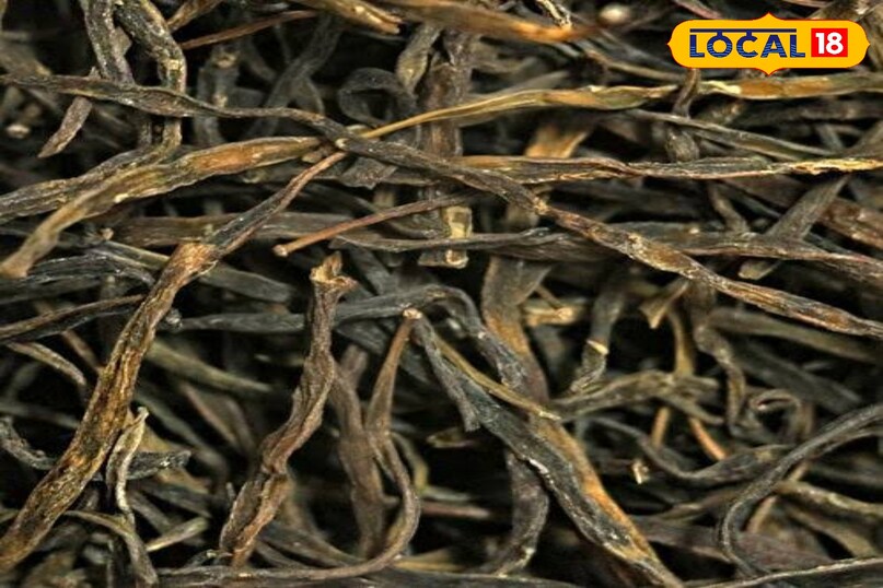 Sangri is in abundance in Barmer, Jaisalmer, Jodhpur and Jalore