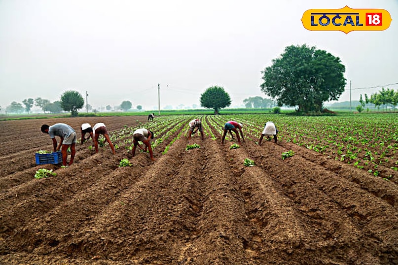 जालोर से जामनगर तक सीधी राह, अब थार का विकास दौड़ेगा एक्सप्रेसवे की रफ्तार से... जालोर से जामनगर तक सीधी राह, अब थार का विकास दौड़ेगा एक्सप्रेसवे की रफ्तार से...